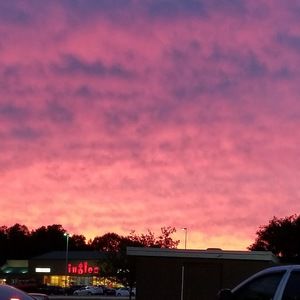 Meet your Posher, Tessa